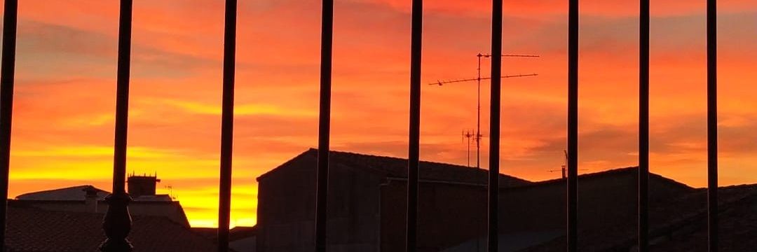 Irenepulido3's profile banner image