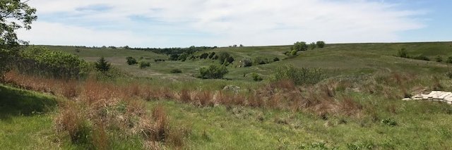 Nancy H. 🟦🐝 🍕🐈🐈‍⬛ banner