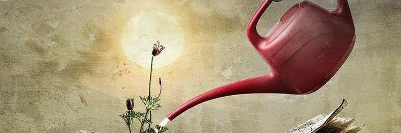 LechGalicki's profile banner image