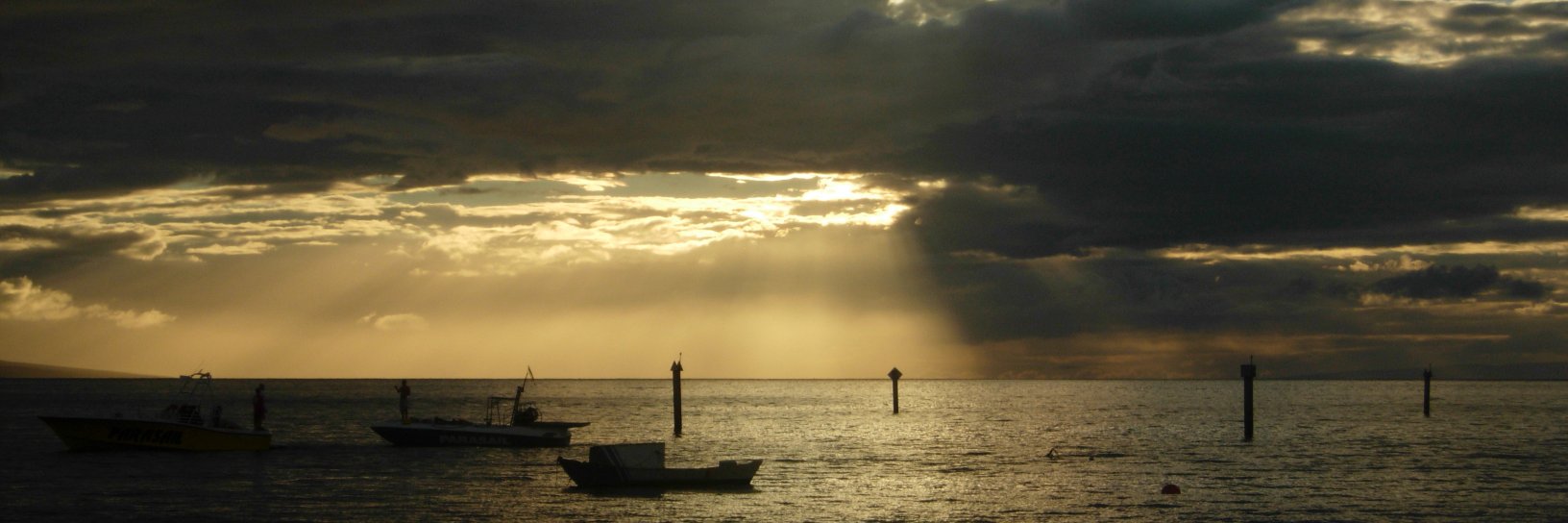 Gene Spafford banner