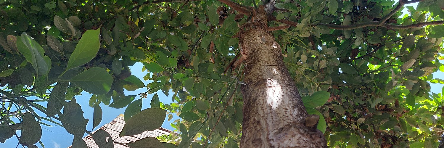 LAPELME's profile banner image