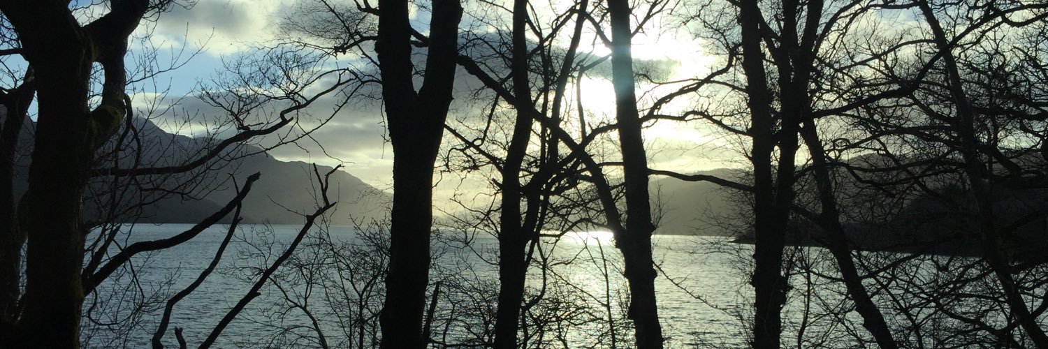 seanuc's profile banner image