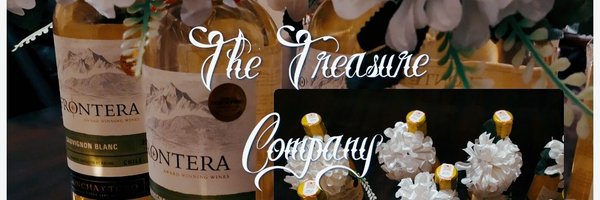 TheTreasureCom1 Profile Banner