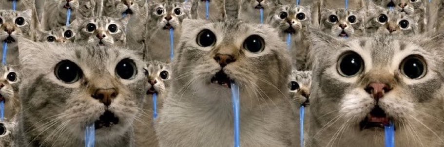 butungozler's profile banner image