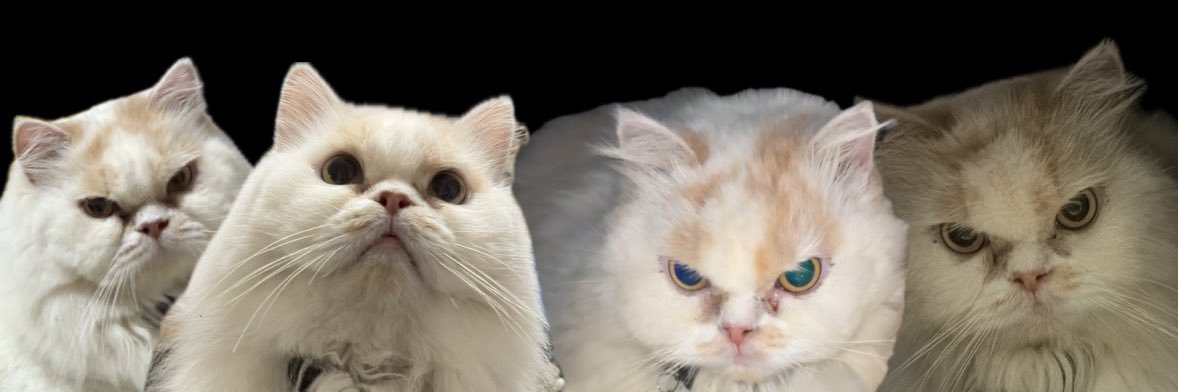 limabelassept's profile banner image