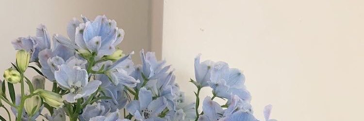 hazzrenn's profile banner image