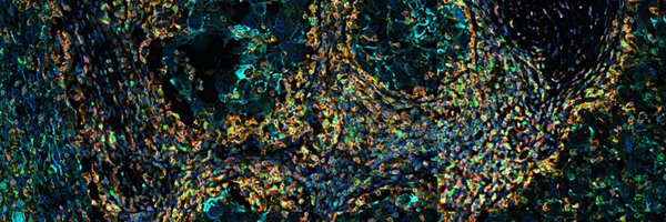 IEO_HolzelLab Profile Banner