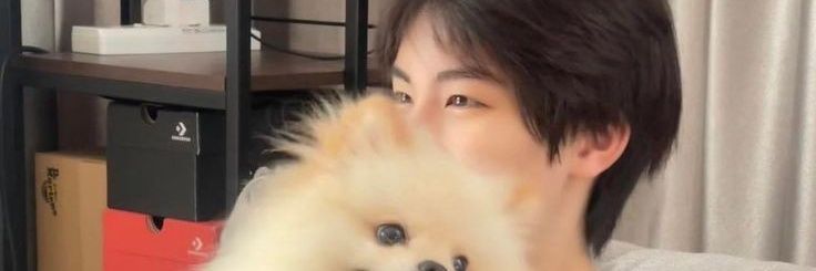 ୨ৎ banner