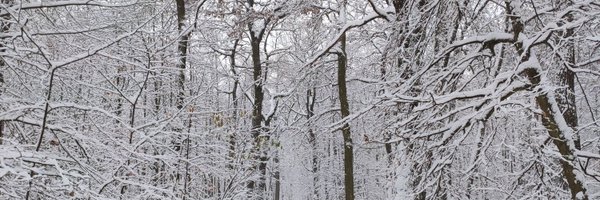 filipa_molive Profile Banner