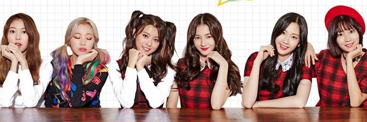 MOMOLAND INFO's banner
