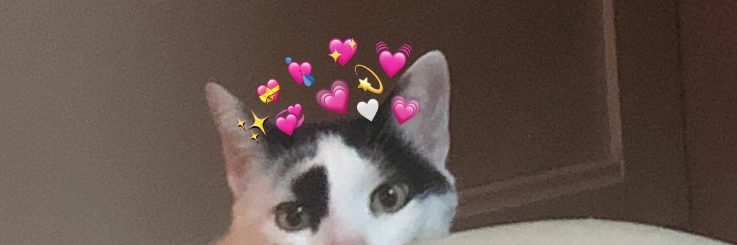 leyla 💌🇵🇸 banner