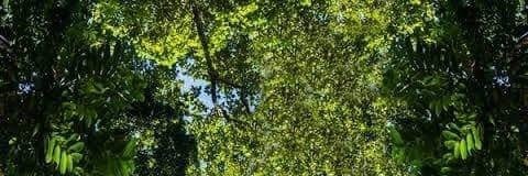 HMarahu's profile banner image