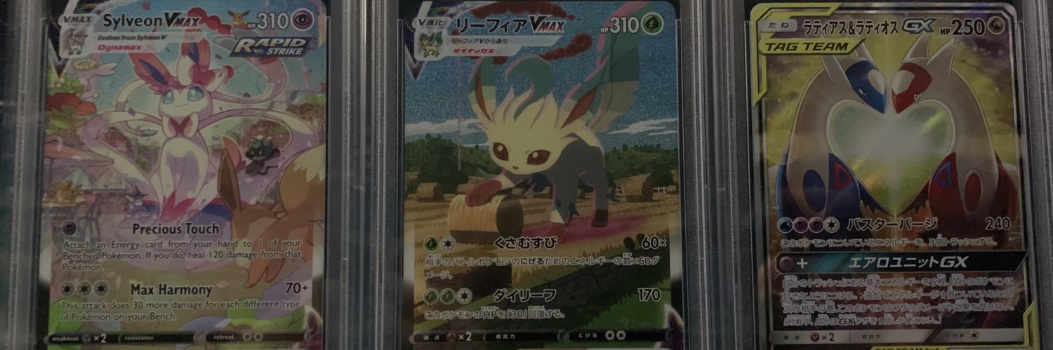 VishPokemon's profile banner image