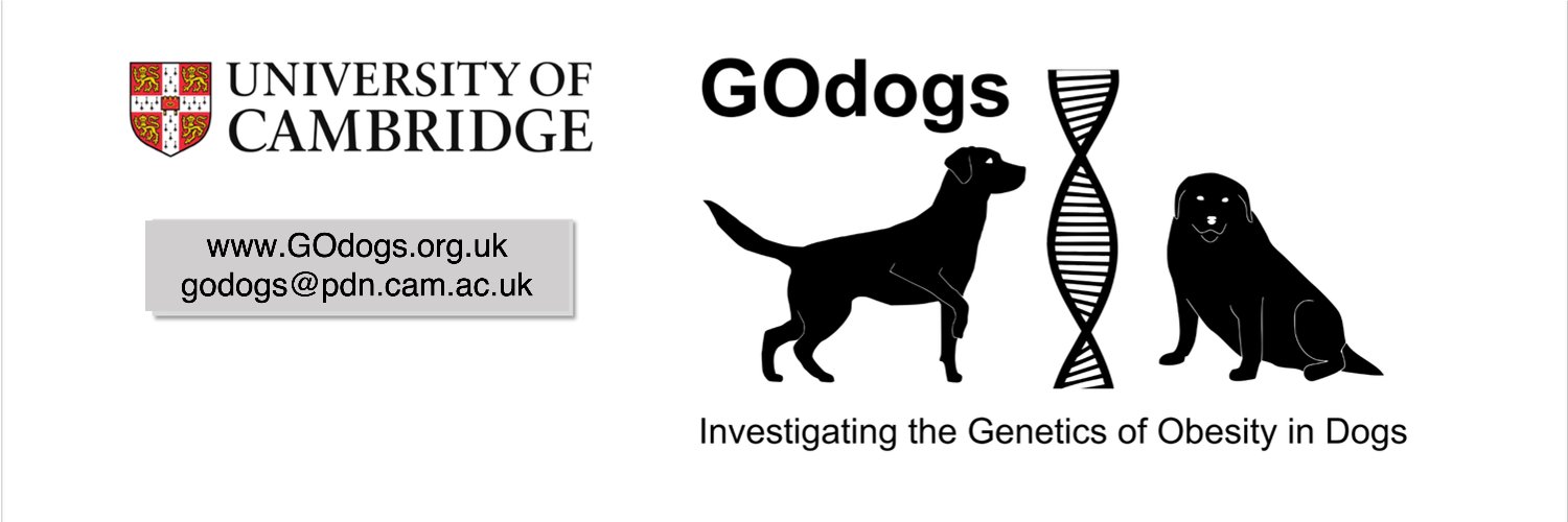 GOdogs project banner