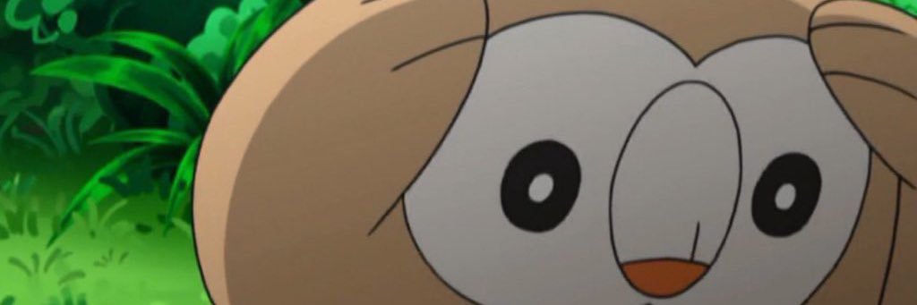 cory_corn's profile banner image