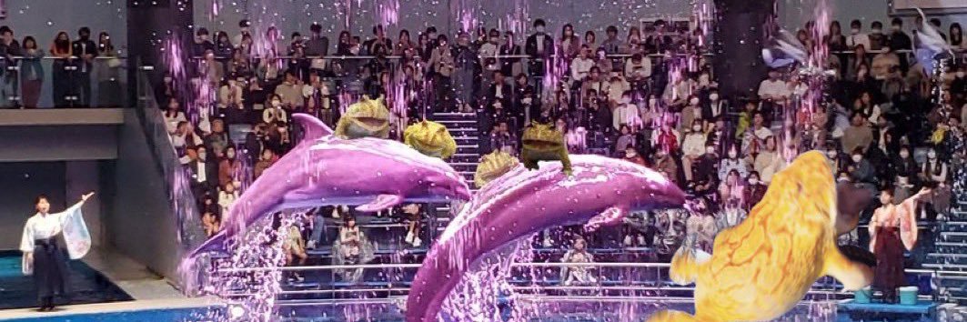 lillyel_st's profile banner image