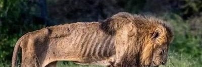 sweeetdeth banner