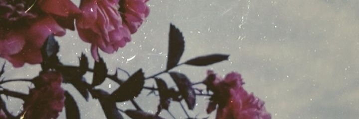 ///‼️🥺🔪 banner