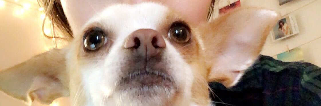 Lexipotpie's profile banner image