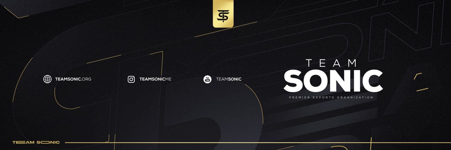 Team Sonic banner