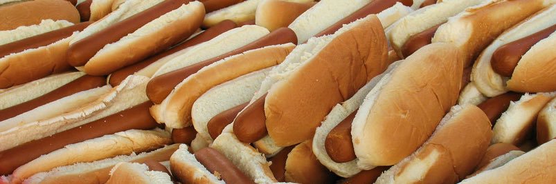Hotdog Frank banner