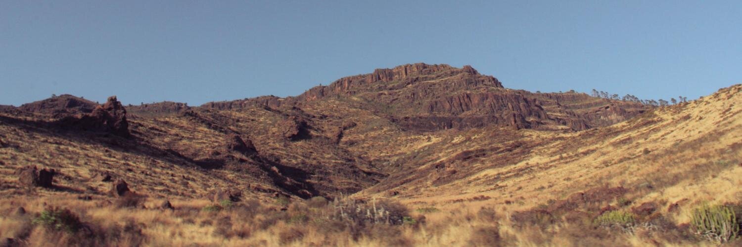 Shanesbrain's profile banner image