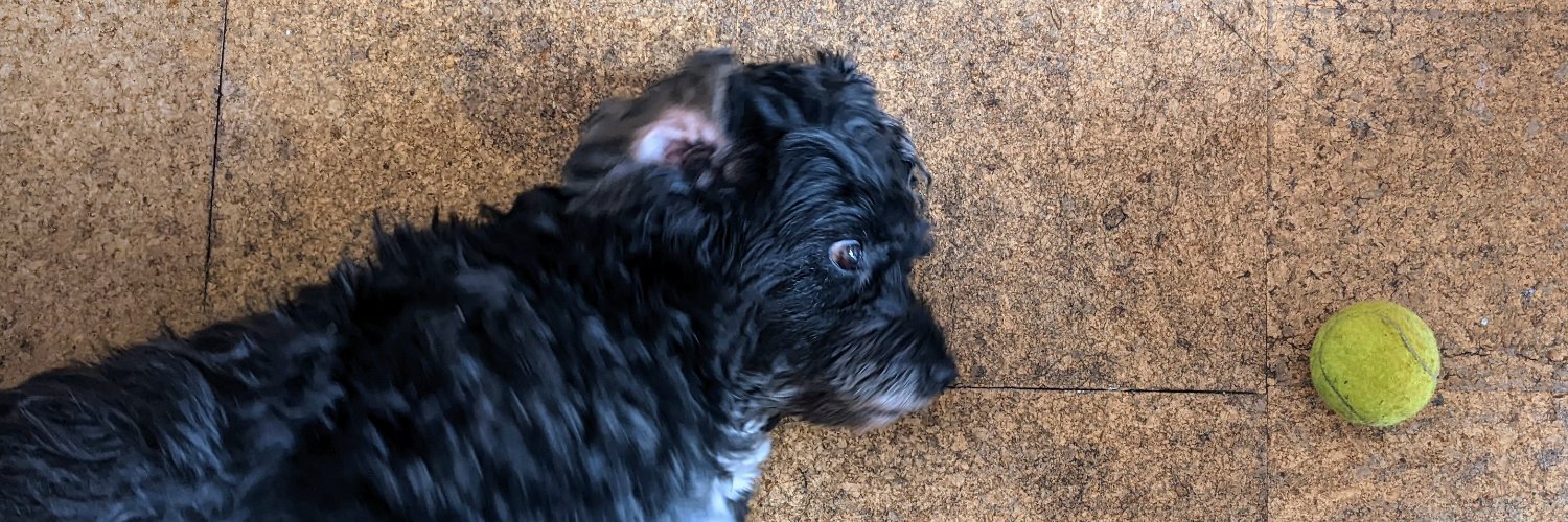 Guy Atkins / G banner