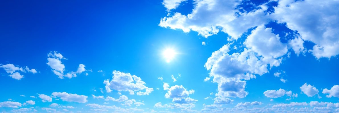 Conservative Friends of Education banner