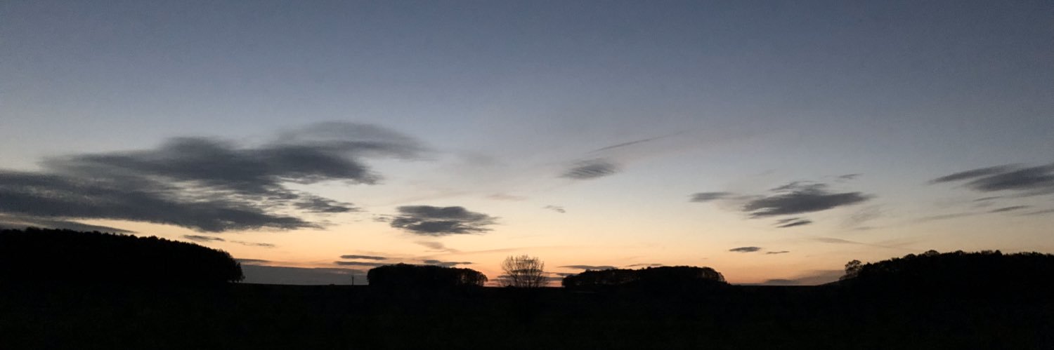 Jürgen Schaaf banner