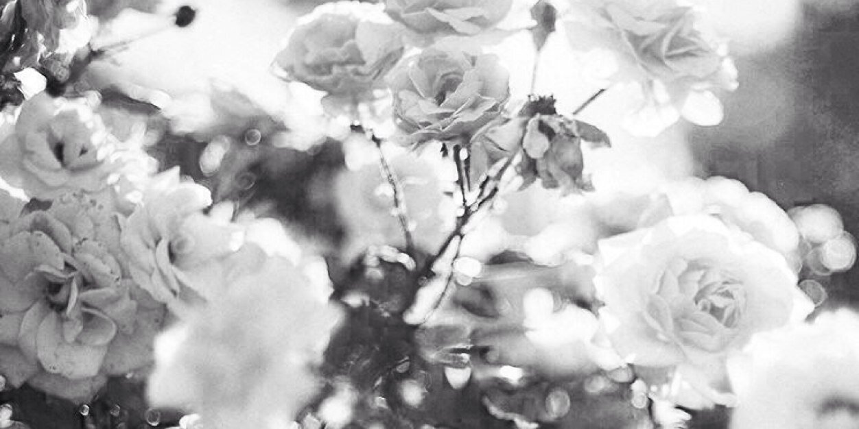 lizz_bowen's profile banner image