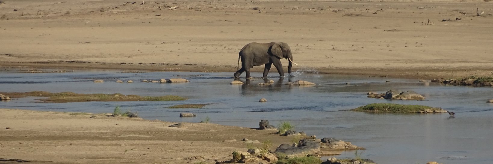 Christophe Cudennec banner