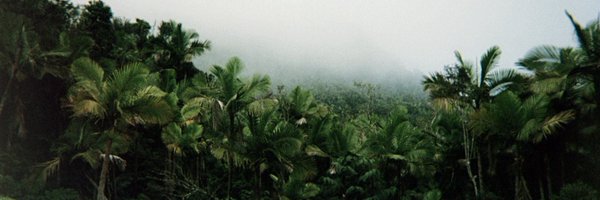 msthangthangin Profile Banner