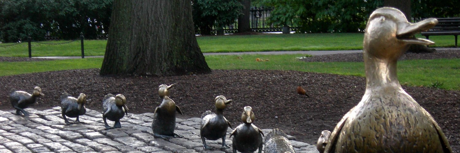 Duck banner