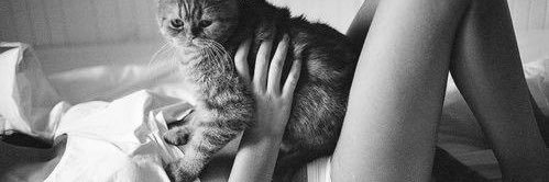 r banner