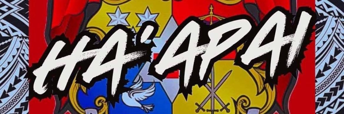 ♊︎ banner