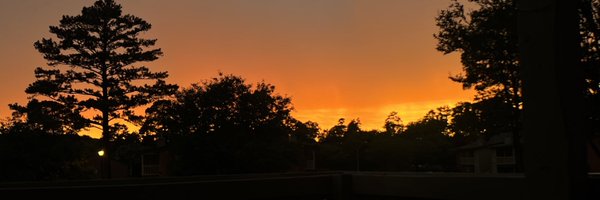 bjoynerWAPT Profile Banner