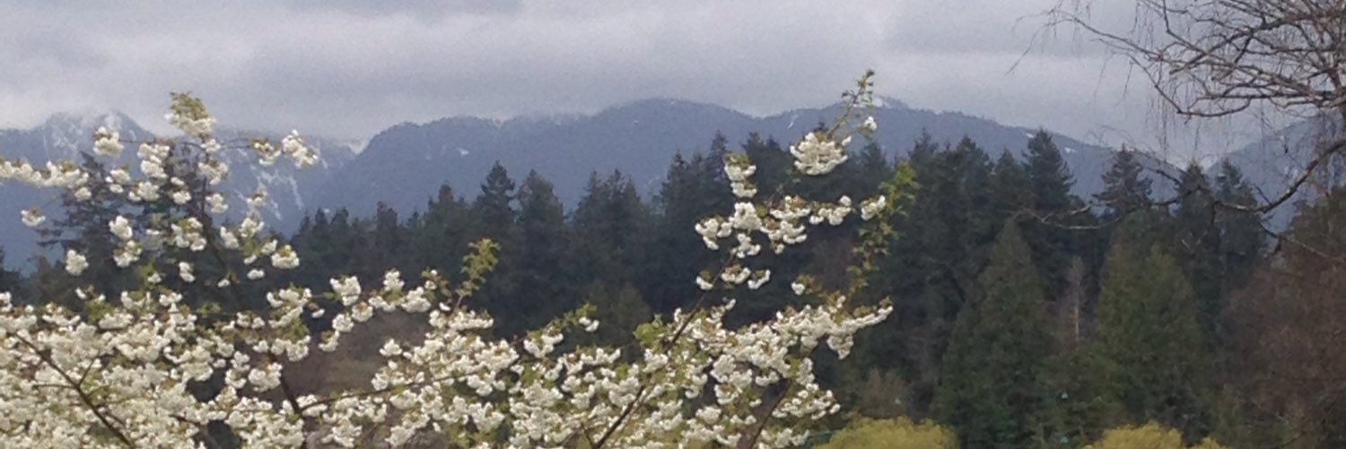 _dradrienne's profile banner image