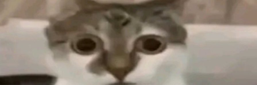 Hikaee_'s profile banner image