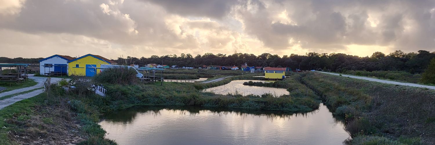 Tabasco⏚🇳🇨🇵🇸🦌 banner