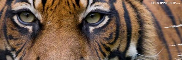 RKOpinion's profile banner image