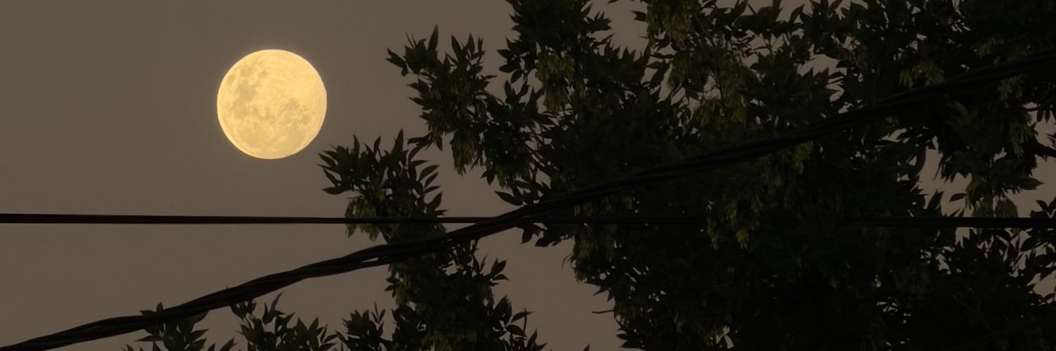 lolinoveroo's profile banner image