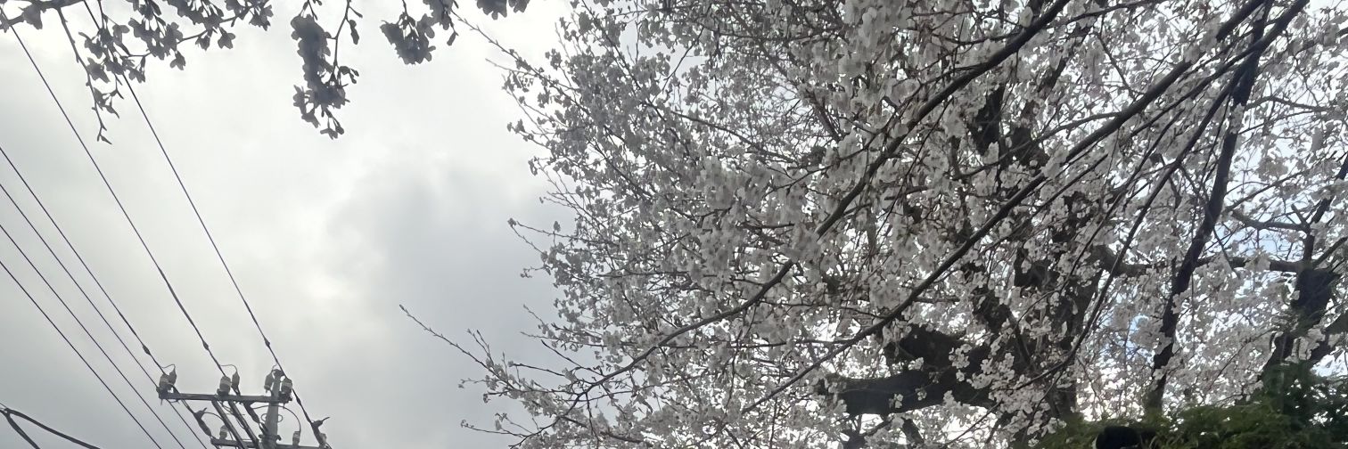 UltimateOrenGrifter banner