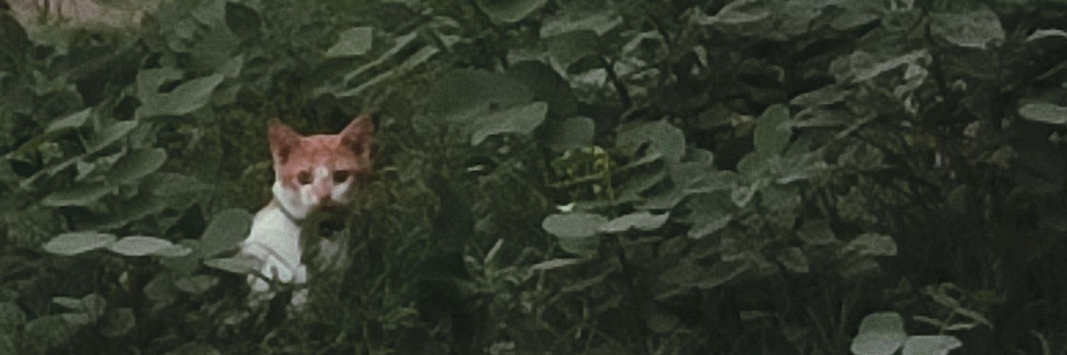 ritolz_'s profile banner image