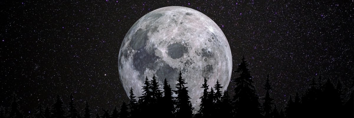 AdRiAnOx321's profile banner image
