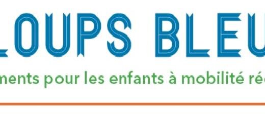 Lesloupsbleus's profile banner image