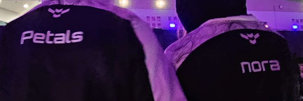 noraVLR Profile Banner