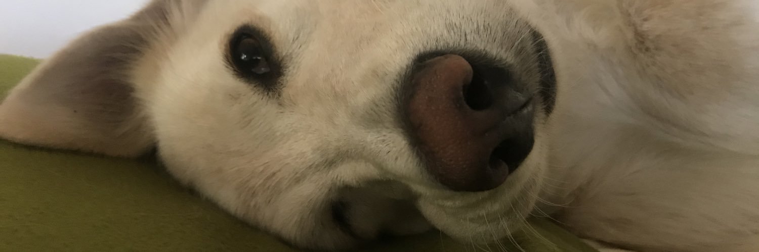 warrido's profile banner image