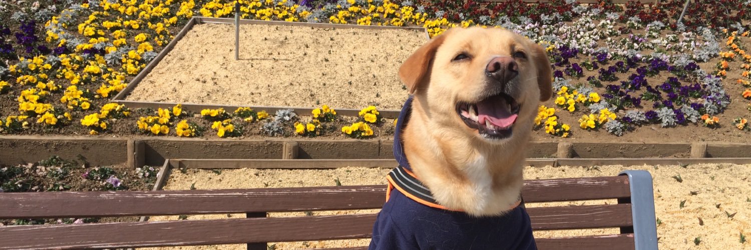 hammy0501's profile banner image