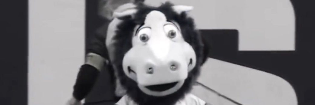nick banner