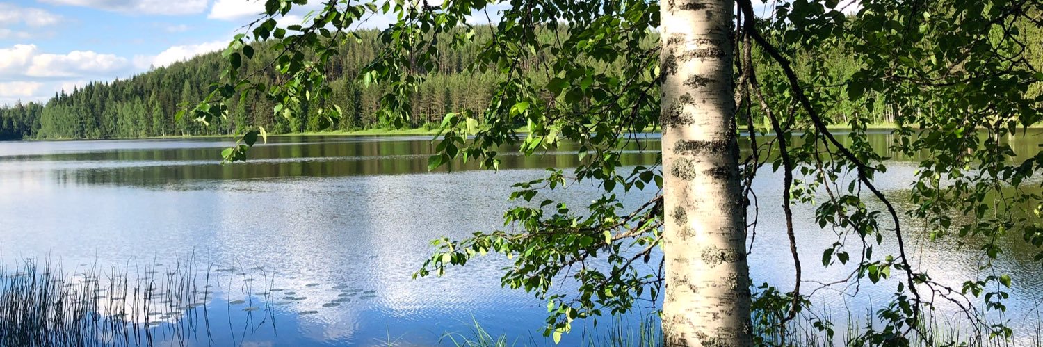 anitamonkkonen's profile banner image